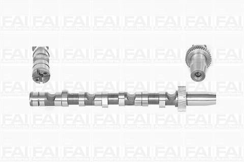 Camshaft C245