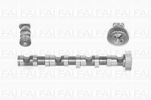 Camshaft C246