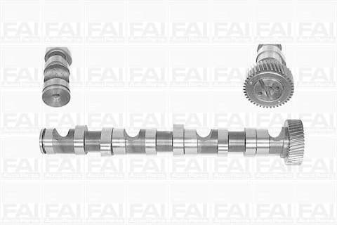 Camshaft C247