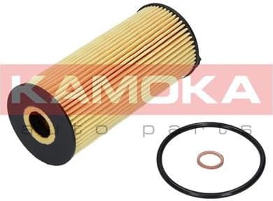 Filter oil F110901