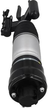 Air Suspension Strut 2070034