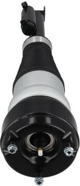 Air Suspension Strut 2070123 - image 4