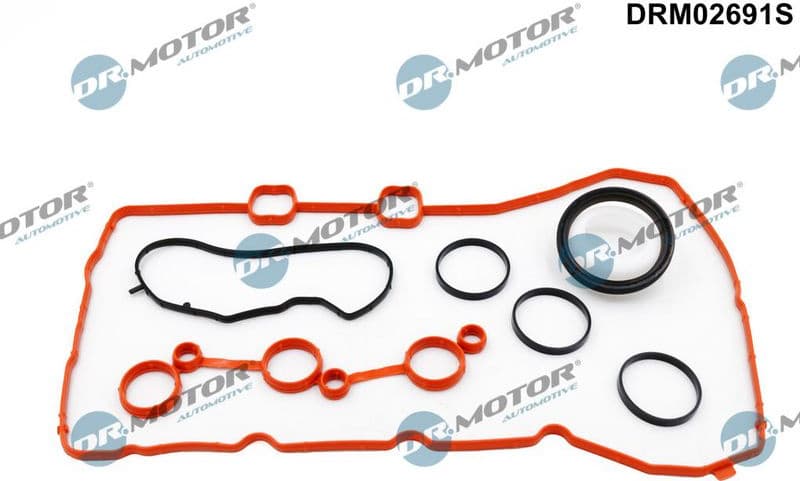 Gasket Kit, timing case DRM02691S