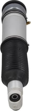 Air Suspension Strut 2070099
