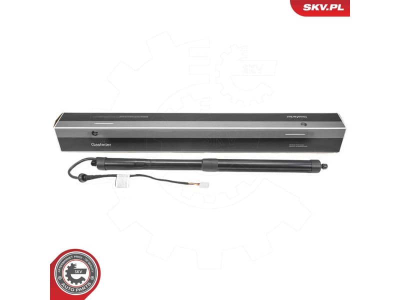 Electric Motor, tailgate 52SKV216