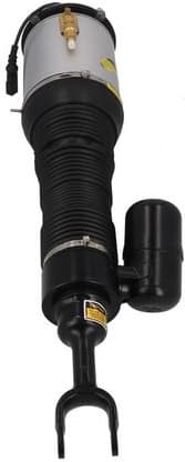 Air Suspension Strut 2070049 - image 2