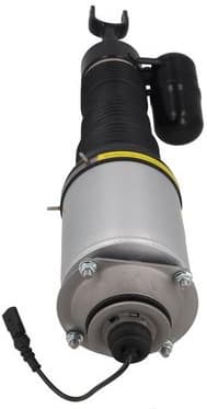 Air Suspension Strut 2070049 - image 4