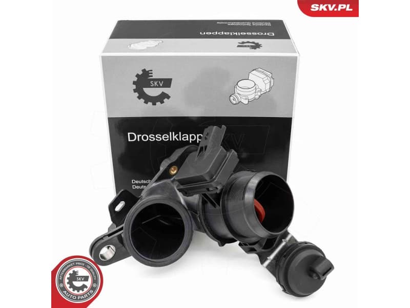 Throttle Body 12SKV149