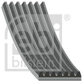 V-ribbed Belt 181905