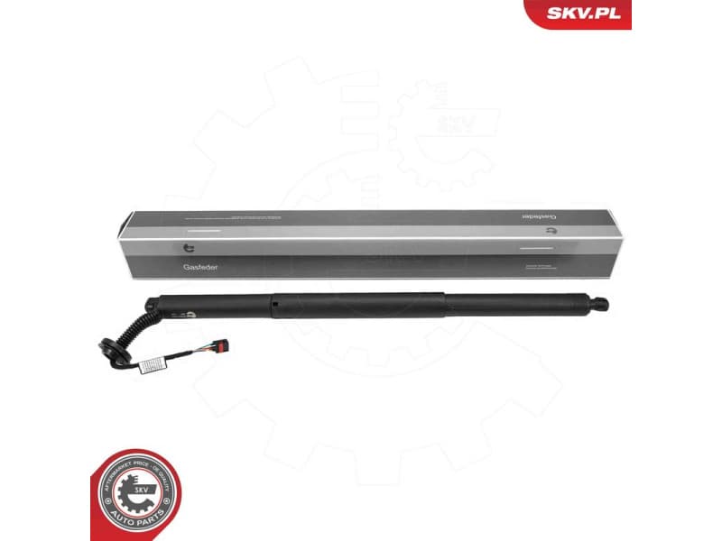 Electric Motor, tailgate 52SKV993