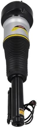 Air Suspension Strut 2070091