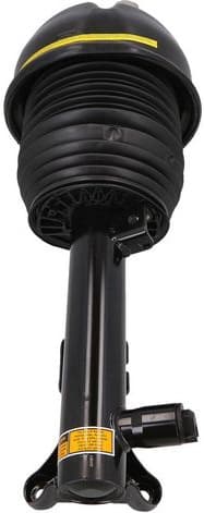 Air Suspension Strut 2070044 - image 2