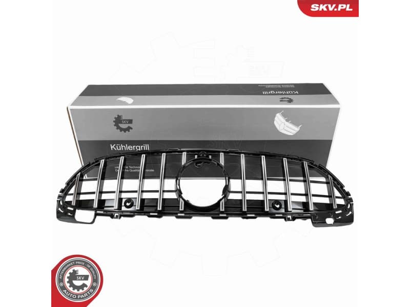 Radiator Grille 66SKV541