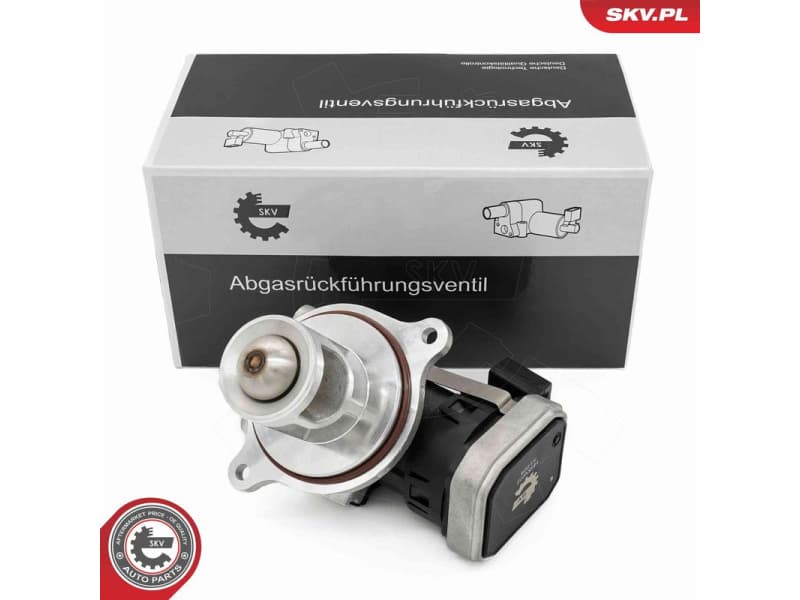 EGR Valve 14SKV272