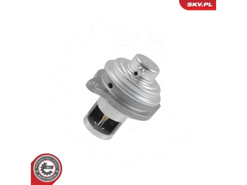 EGR Valve 14SKV326