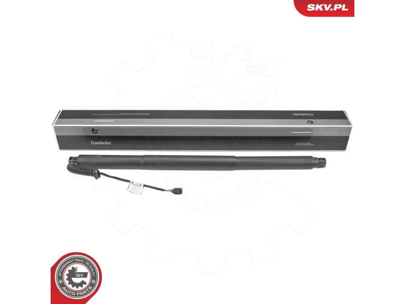 Electric Motor, tailgate 52SKV256