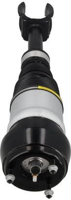 Air Suspension Strut 2070107