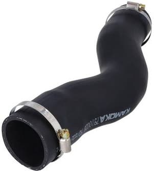 Charge Air Hose 7910028