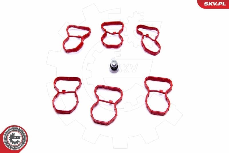 Repair Kit, intake manifold module 49SKV520 - image 2