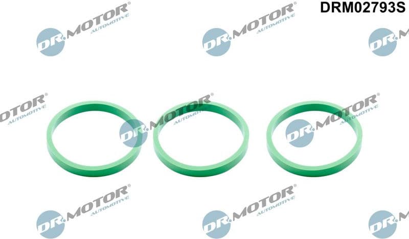 Gasket Set, intake manifold DRM02793S