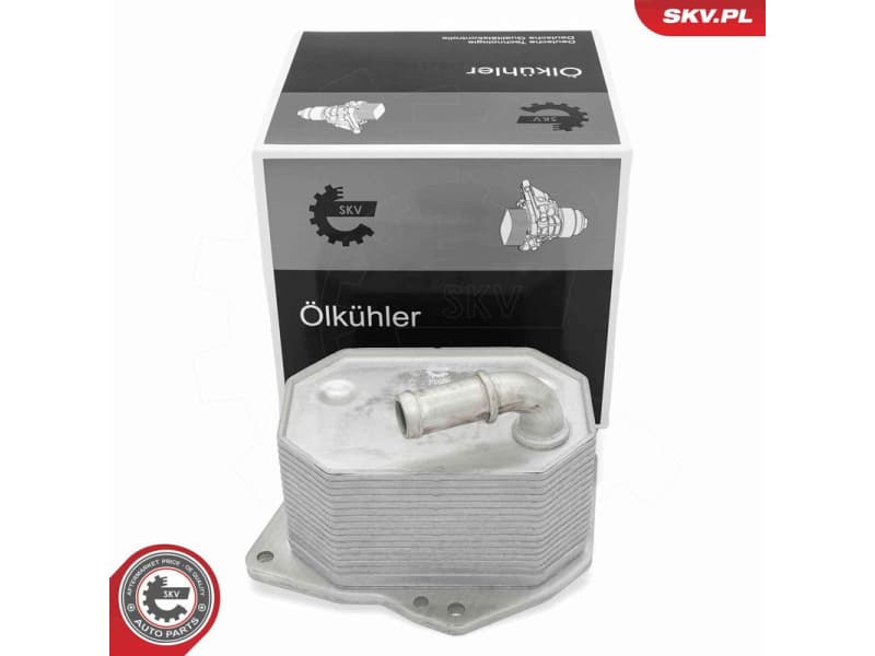 Oil Cooler, engine oil 31SKV348