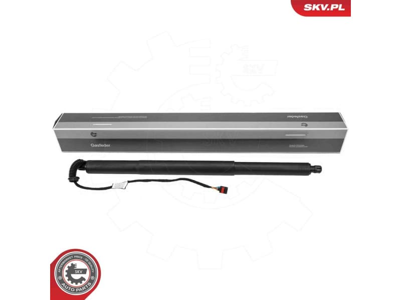 Electric Motor, tailgate 52SKV221