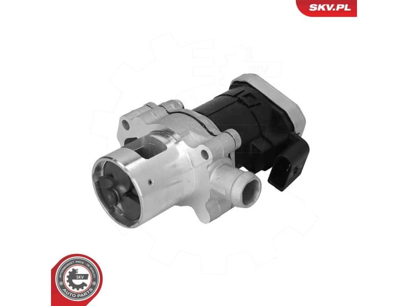 EGR Valve 14SKV305