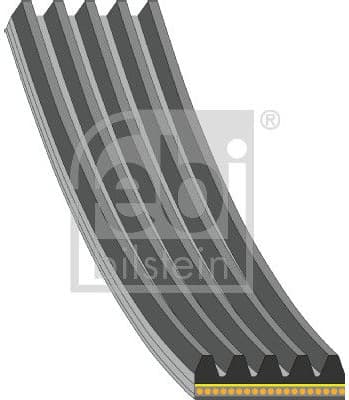 V-ribbed Belt 181286