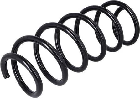 Suspension Spring 2110869 - image 4