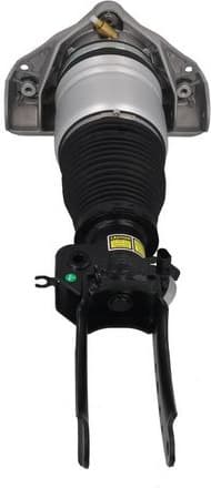 Air Suspension Strut 2070126