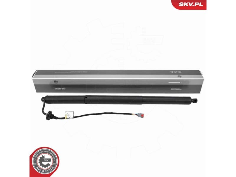 Electric Motor, tailgate 52SKV278