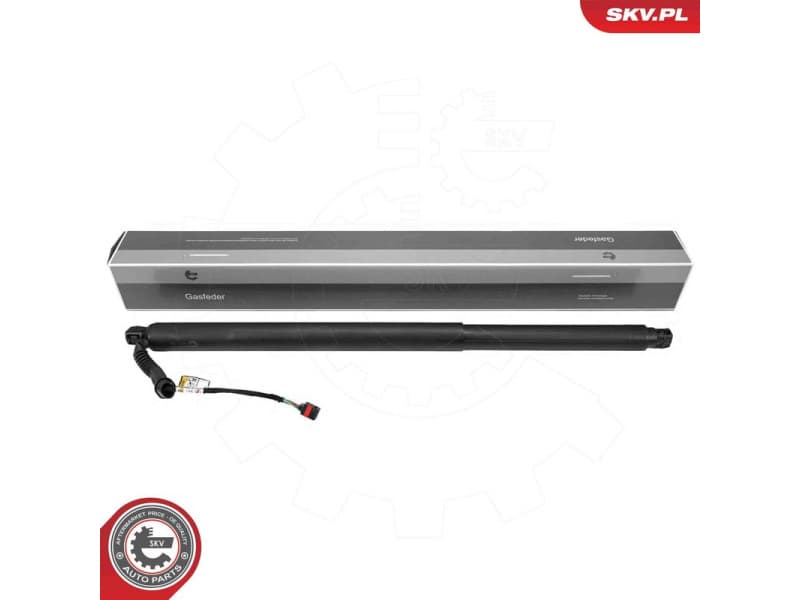 Electric Motor, tailgate 52SKV203