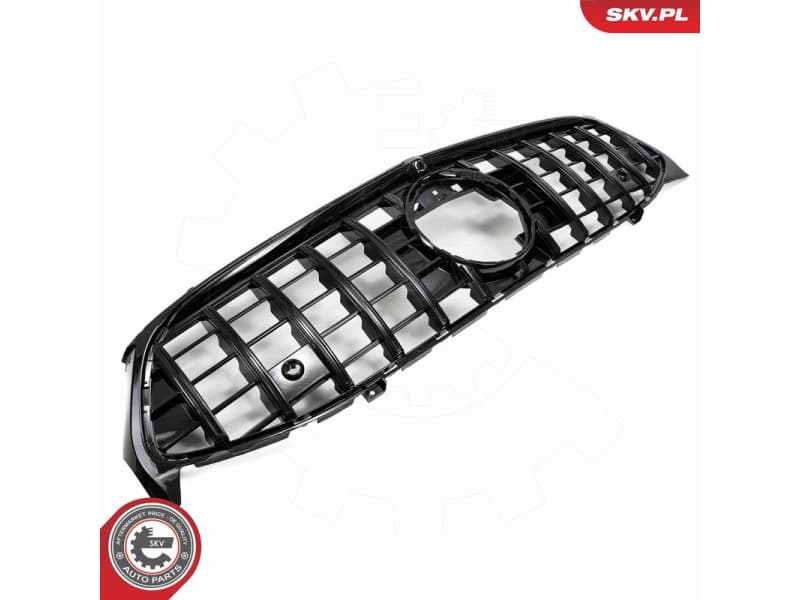 Radiator Grille 66SKV561 - image 3