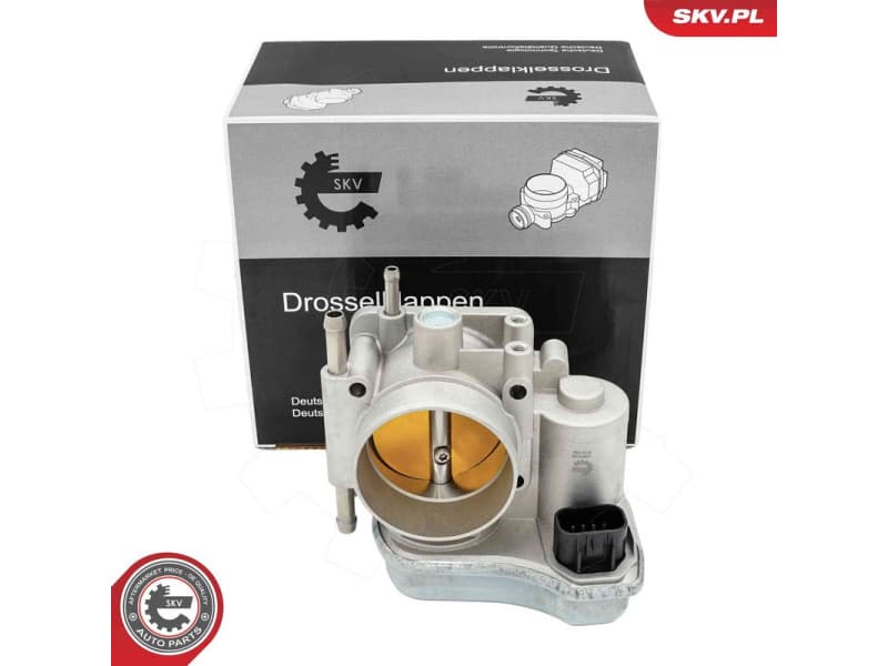 Throttle Body 12SKV148