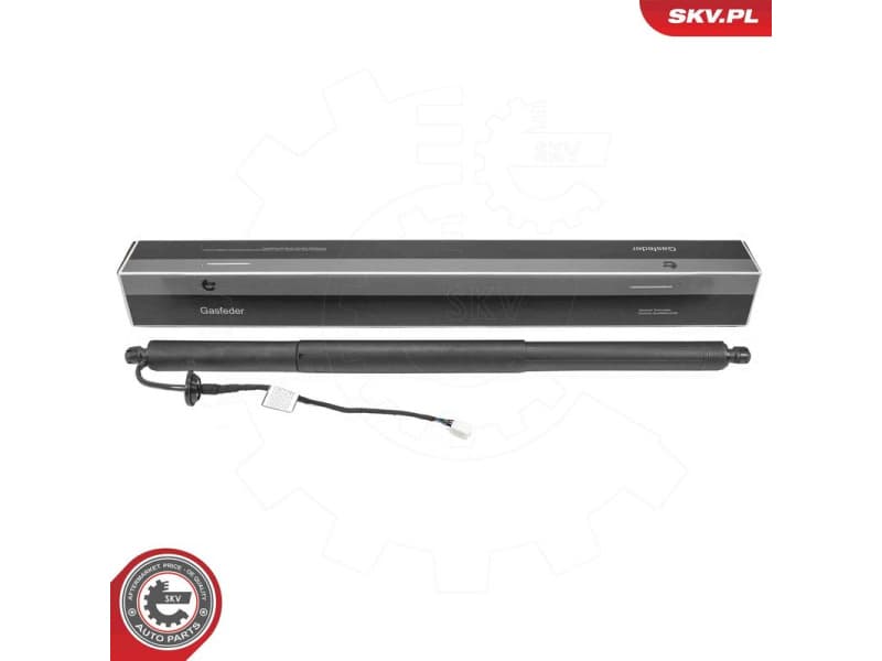 Electric Motor, tailgate 52SKV242