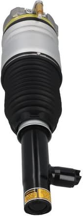 Air Suspension Strut 2070068