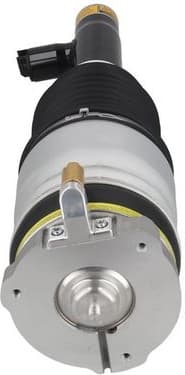 Air Suspension Strut 2070068 - image 3