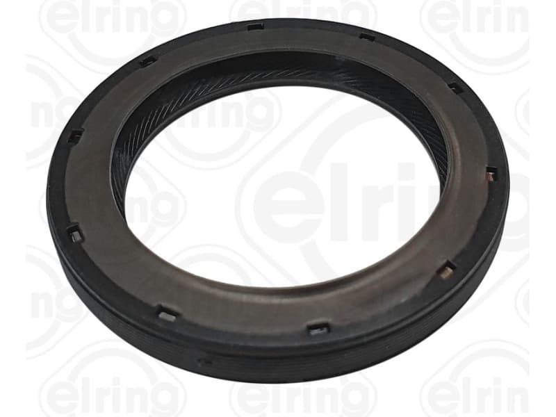 Seal Ring 098.040