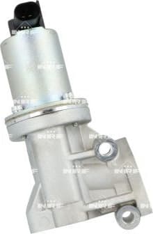 EGR Valve 48699