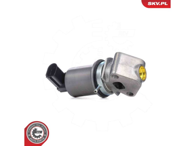 EGR Valve 14SKV293