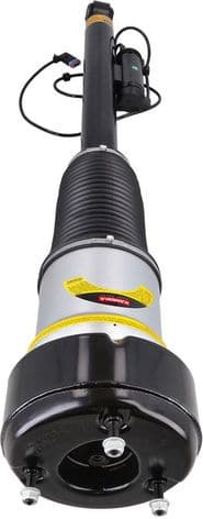 Air Suspension Strut 2070054 - image 3