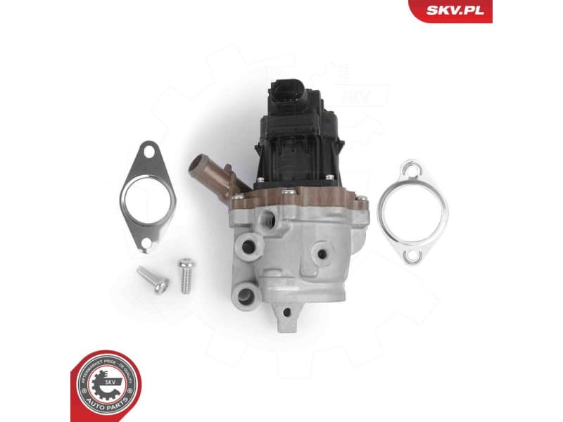 EGR Valve 14SKV313