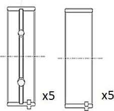 Crankshaft Bearing BM1001-STD