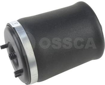 Air Spring, suspension 17045