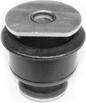 Mounting, control/trailing arm 49398304