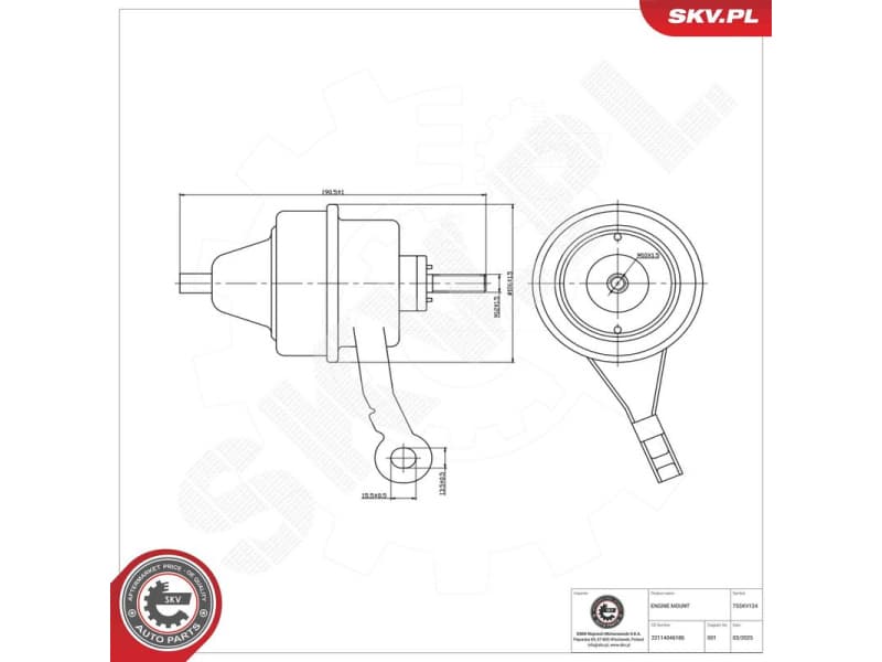 Mounting, engine 75SKV124