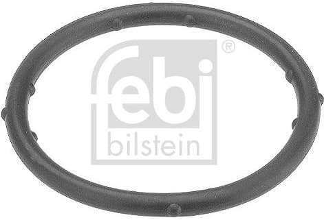 Gasket, coolant flange 18766