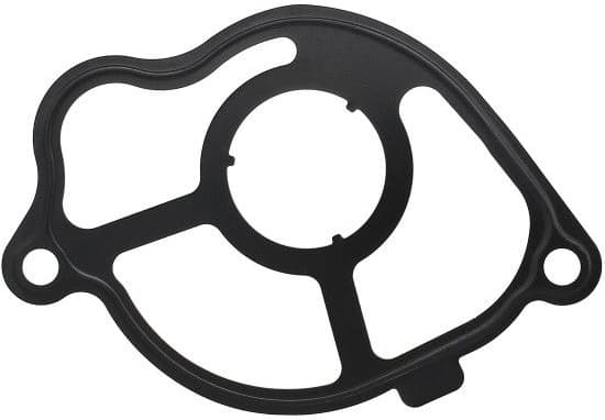 Gasket vacuum pump 549.130