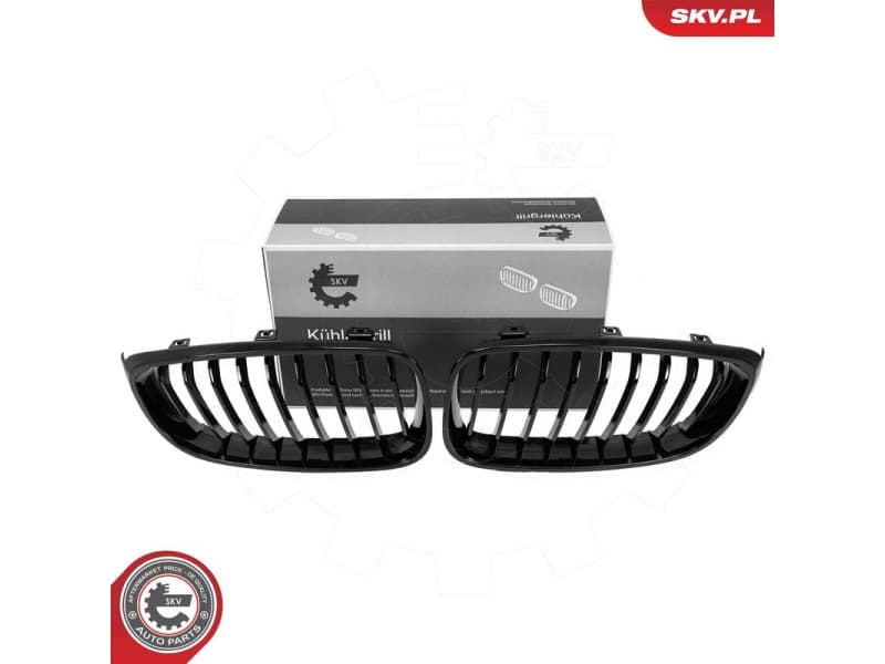 Radiator Grille 66SKV131