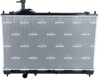 Radiator, engine cooling 550054